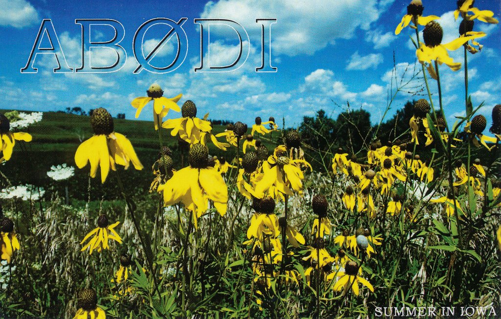 AB0DI.jpg
