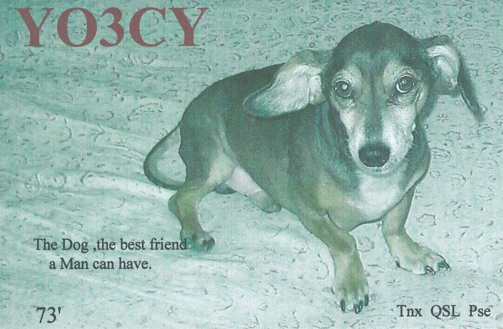 YO3CY.jpg