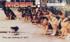 M5BFL