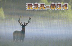 R3A-034