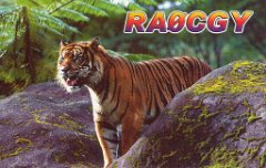RA0CGY