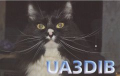 UA3DIB