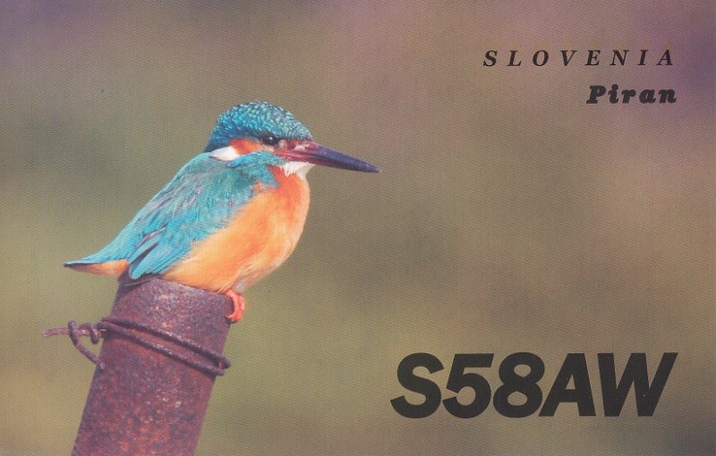 S58AW.jpg