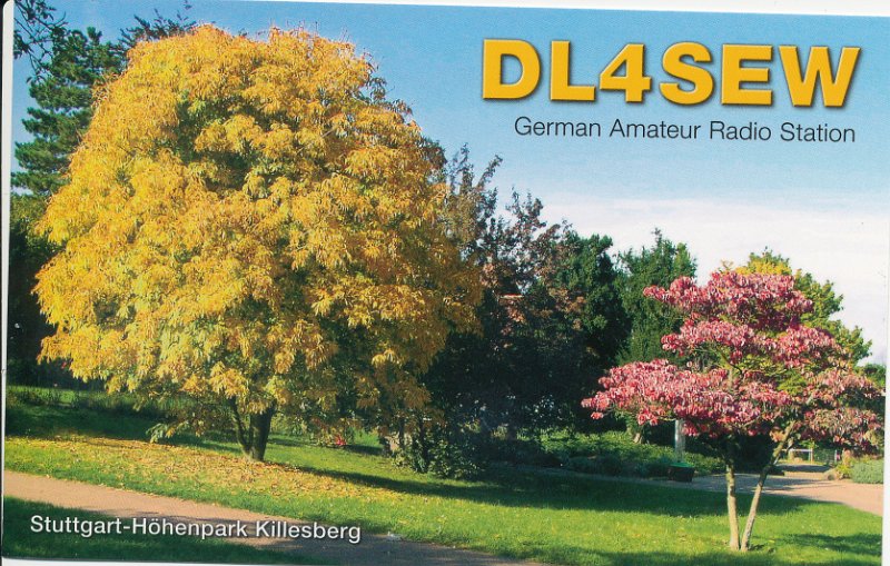 DL4SEW.jpg