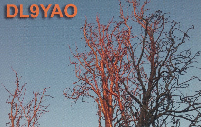 DL9YAO.jpg