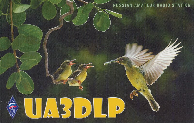 UA3DLP.jpg