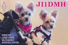 JI1DMH