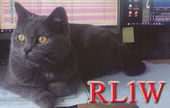 RL1W