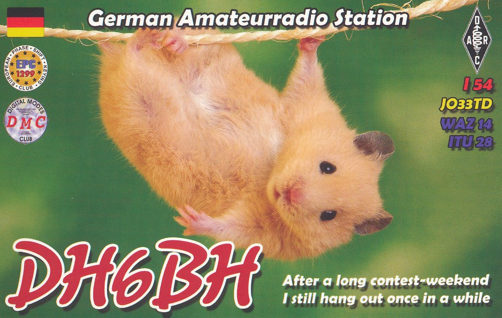 DH6BH.jpg